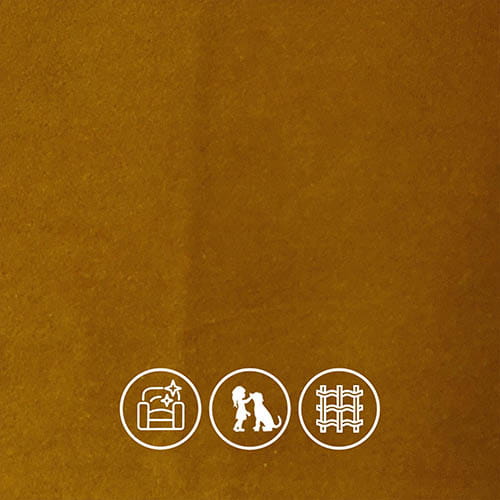 Luxury Easy-Care Velvet

EasyCare, Family Friendly, Durable

Composition: 100% Polyester

Passione is a beautiful collection of washable cotton-look velvets, combining soft, luxurious texture with practical performance. Machine washable and easy to care for, it’s perfect for busy homes that may occasionally get a little messy.